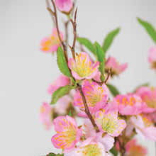 Load image into Gallery viewer, Pink Cherry Blossom