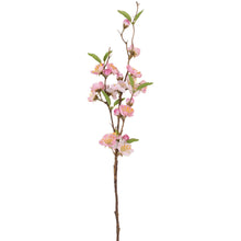 Load image into Gallery viewer, Pink Cherry Blossom