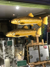 Load image into Gallery viewer, Brown Trout